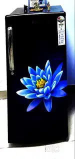 175 ltr single door fridge