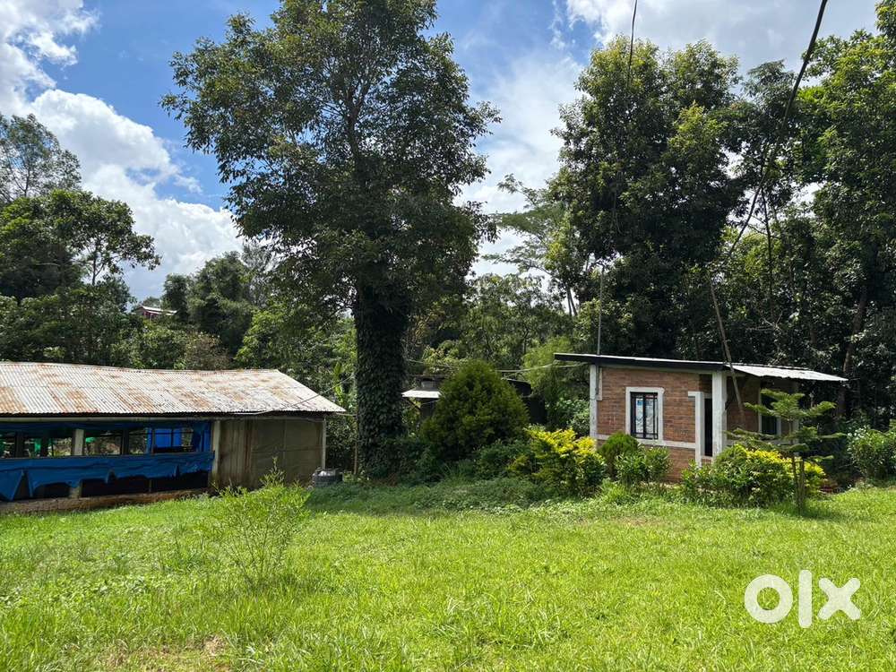 Land for Sale (Developed)