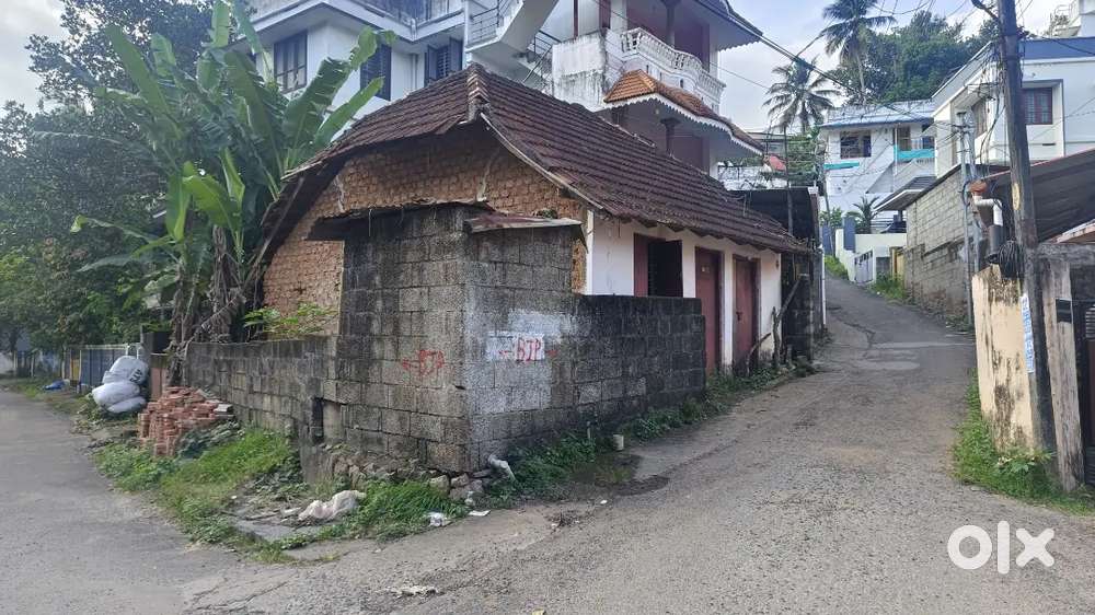 2 cent plots for rent