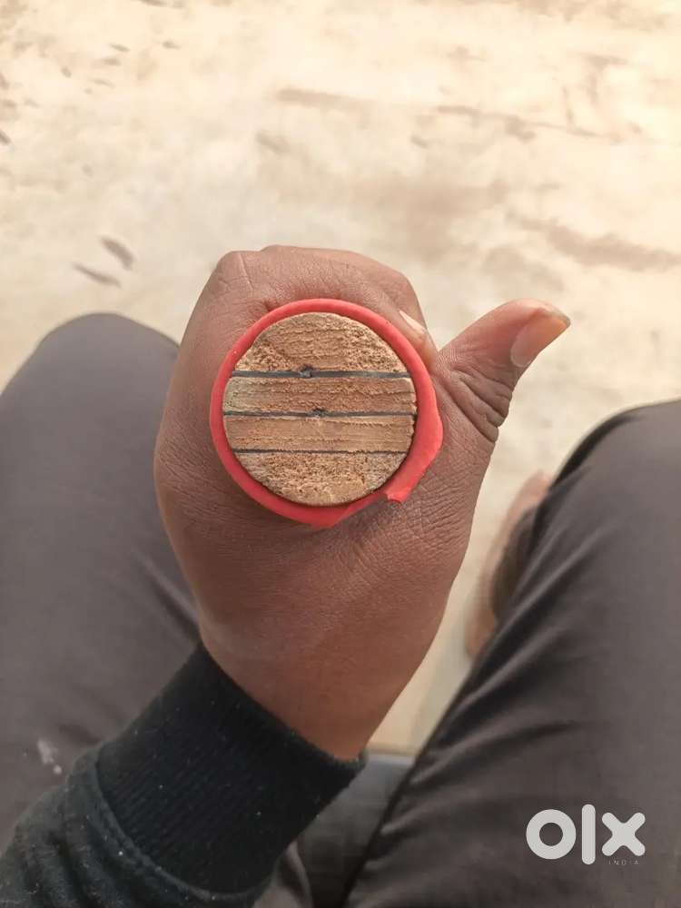 Delight sports aka DLS bat