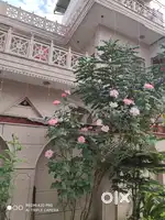 Indipendent 3bhk furnished kothi canal road near rajpur available