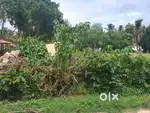 Govt site for sale in siddapur just 1800 rs per sq negotiable