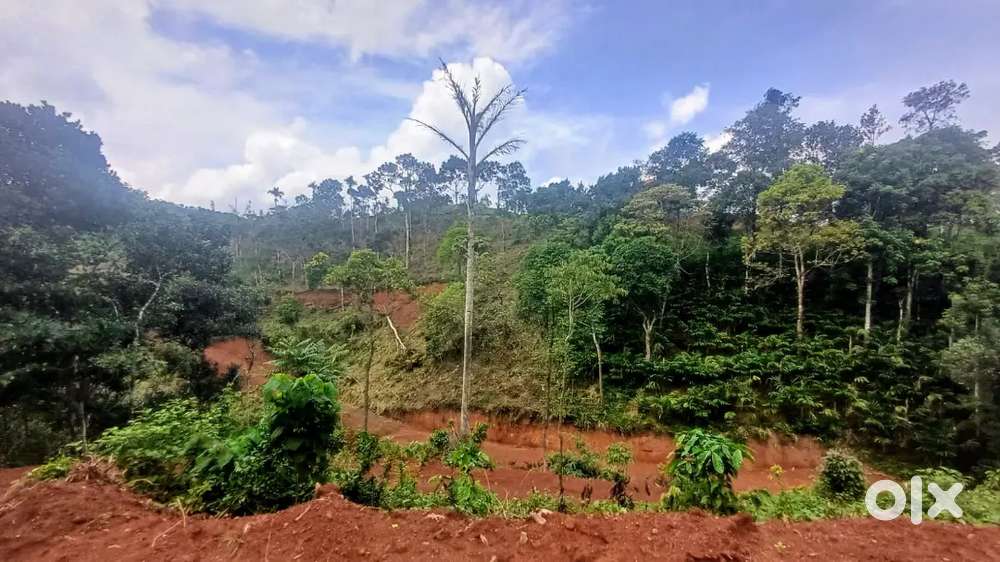 Vagamon Uppu Thara Route 4.5 AC LA pattayam Land For Sale