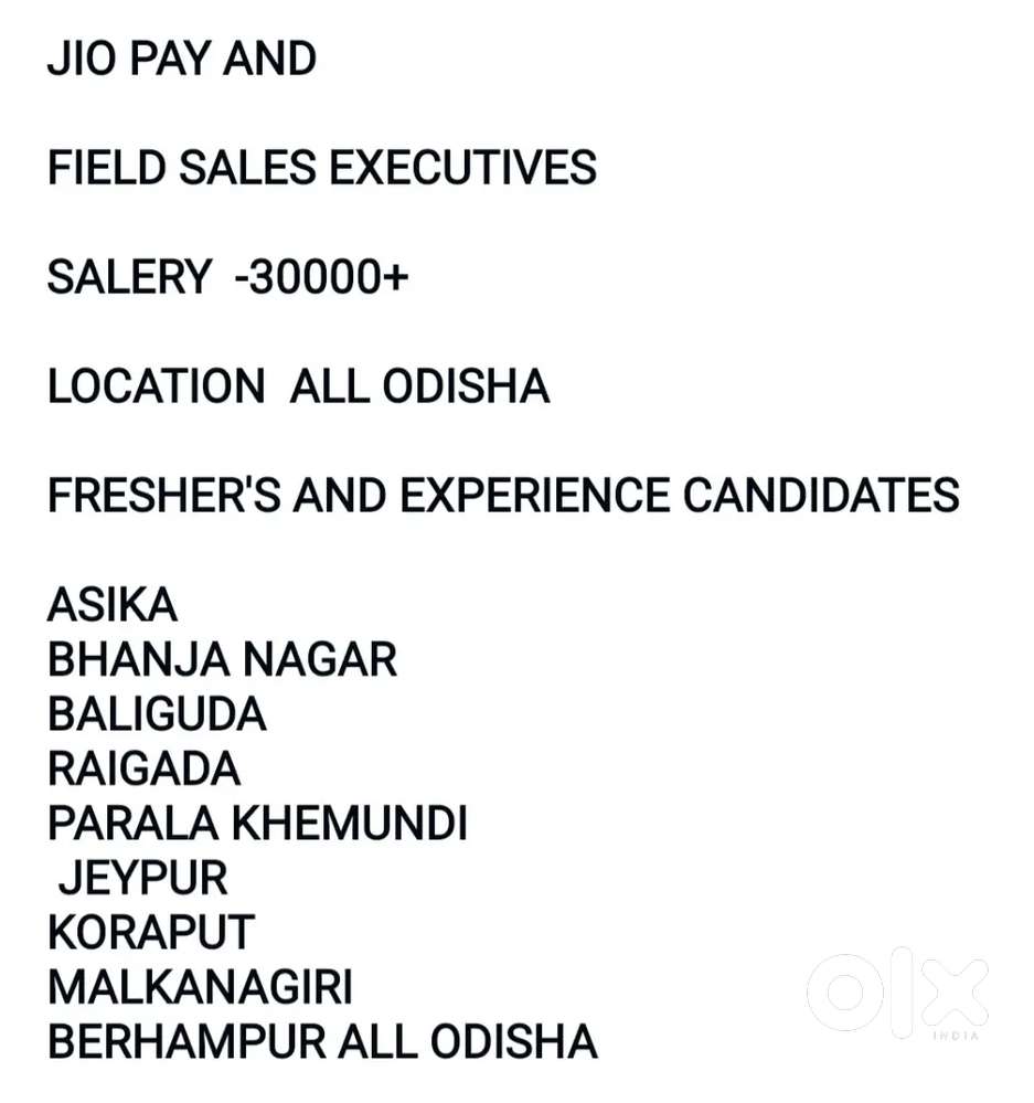 FIELD SALE EXECUTIVES IM FINTECH