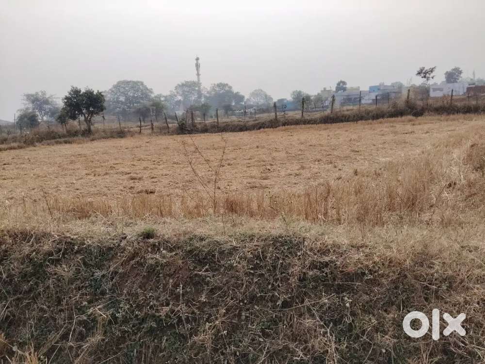 Saragao chhattisagad