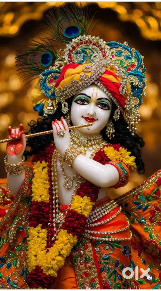 momos manchurian Soya chap