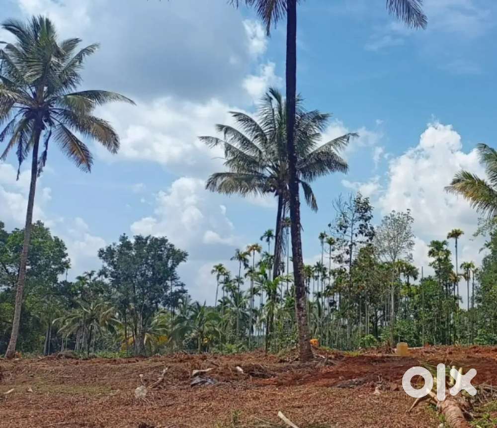 മീനങ്ങാടിയിൽ 10 സെൻ്റ് ഹൗസ് പ്ലോട്ട് വില്പനയ്ക്ക്