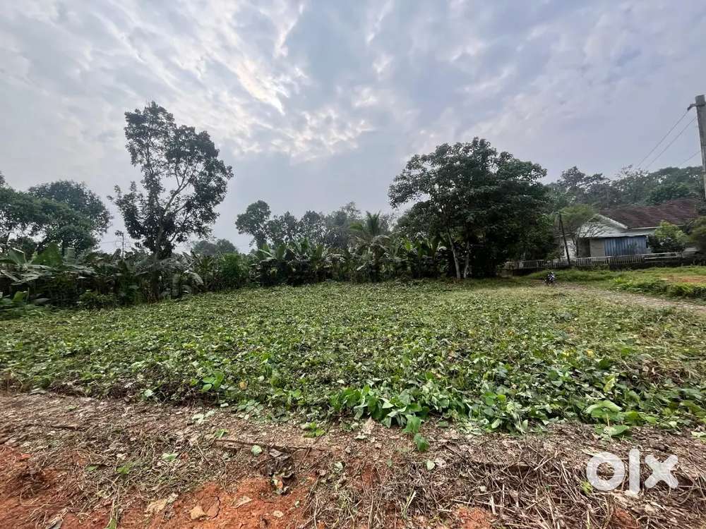 150 meters to Pala ettumanoor highway &holy cross Church cherpunkal.