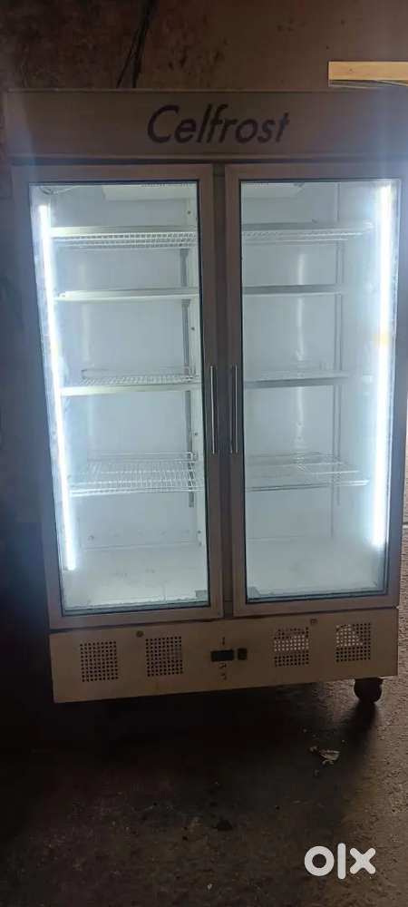 Fridge ded saal Purana