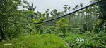 2.4 acre Land and  house for sale in attapadi kalkkandi palakkad