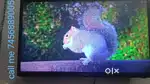 Thomson  32 inch led tv smart