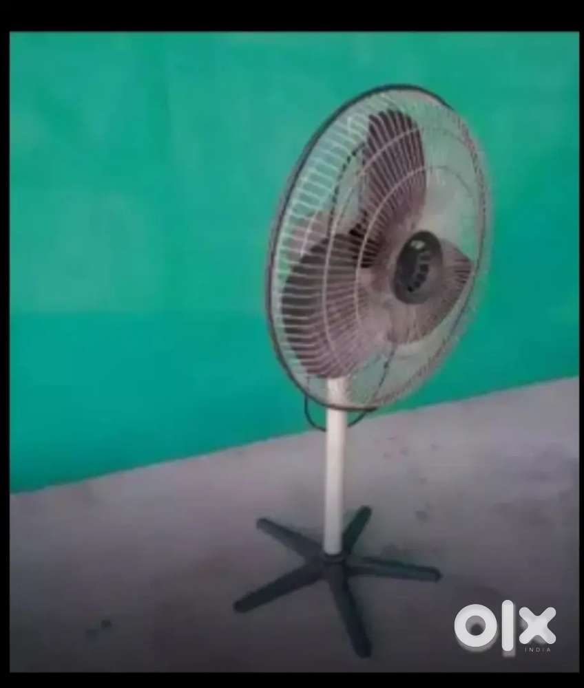 Crompton stand fan