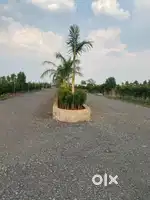 अयोध्या विहार राम जानकी मंदिर के पास सारी सुविधाओं साथ दतरेंगा रायपुर