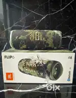 JBL Flip 6