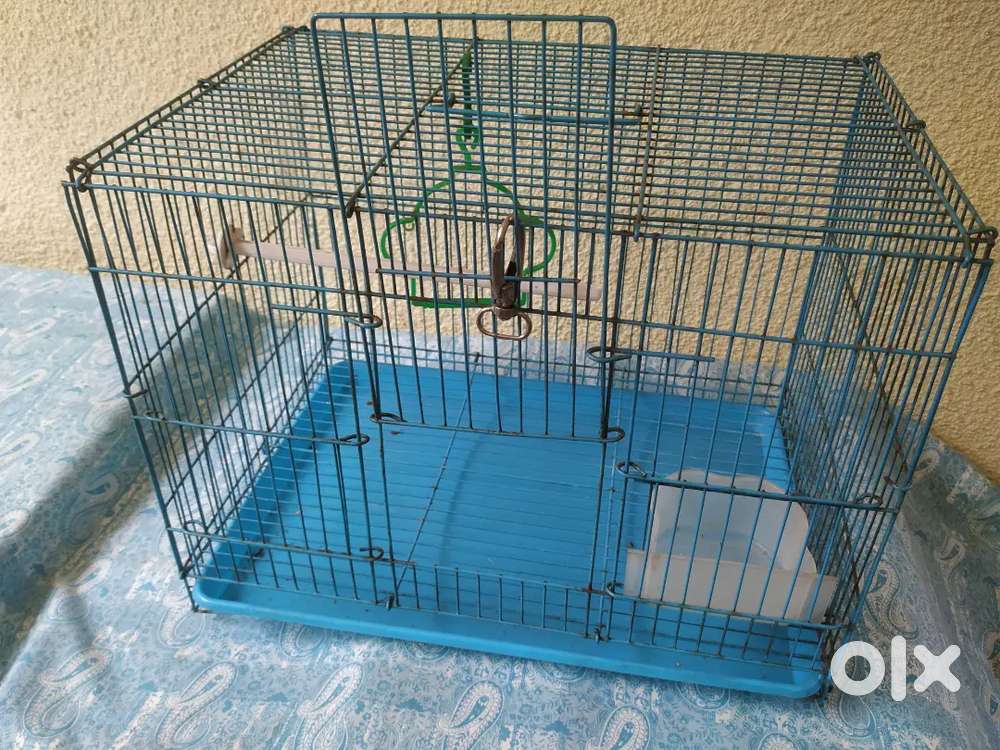 Bird cages