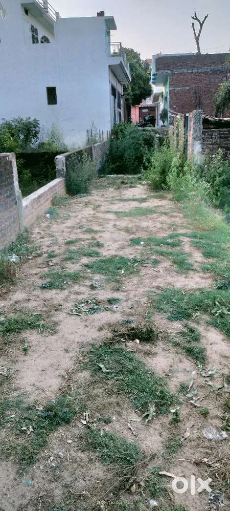 129 gaj ka plot Bakli colony me jisko lena h contact kare argent sell
