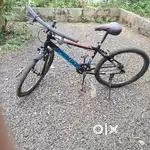 2 year old hercules street cat pro 3.0