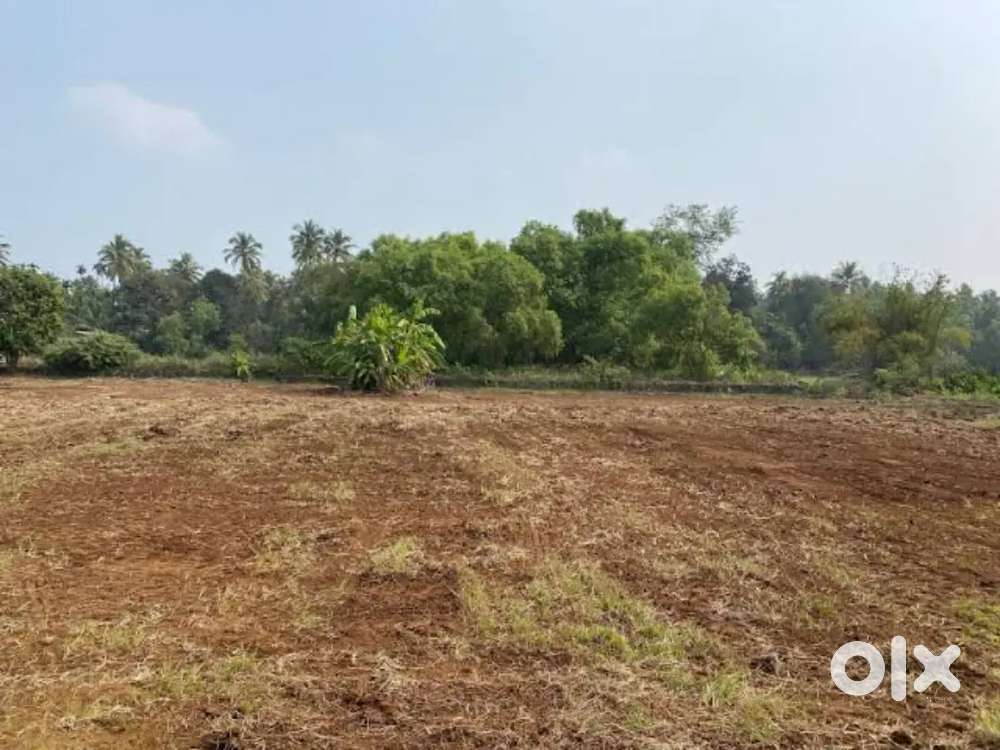 Mumbai 3.0 Belondekhar NA plot for sale