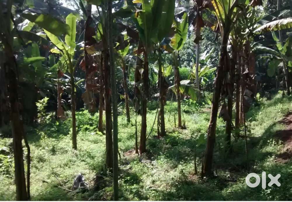 65 cents plot for house or building