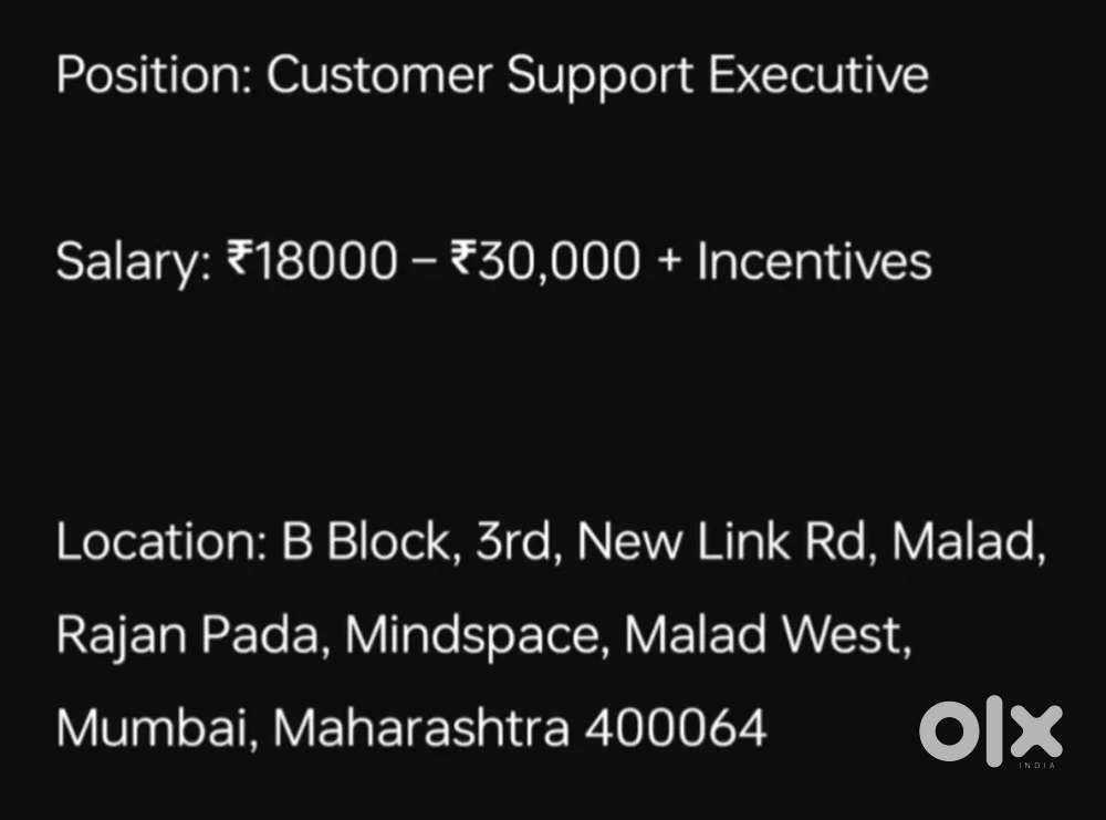 Customer support executive