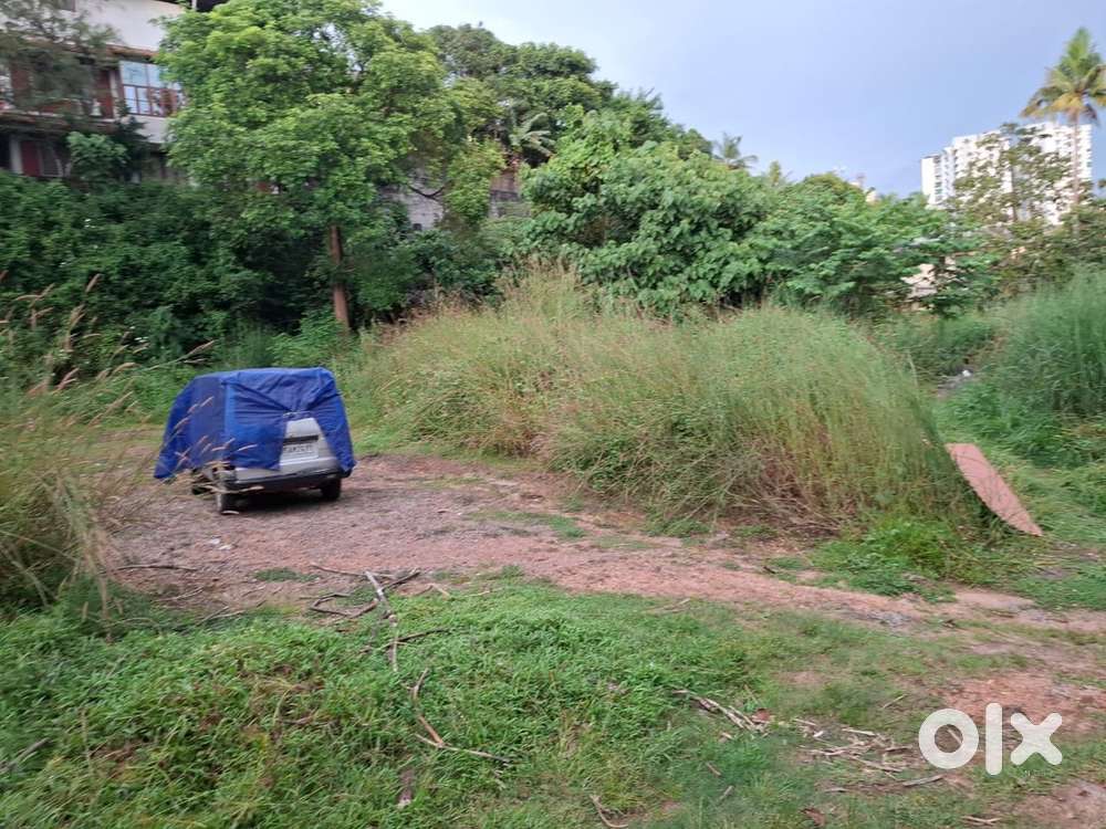 20 cent land for sale near Kakkanad BM College, Kollamkodimugal