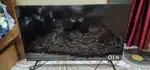 Hi sale my Samsung  4k HD tv 43 inches good condition