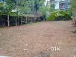 10 Cent Residential Land for Sale – Mutholi (Kidangoor–Pala Road