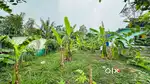 5 cent plot near by gudalur kalampuzha