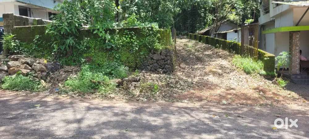 40 cent plot for sale Manjoor