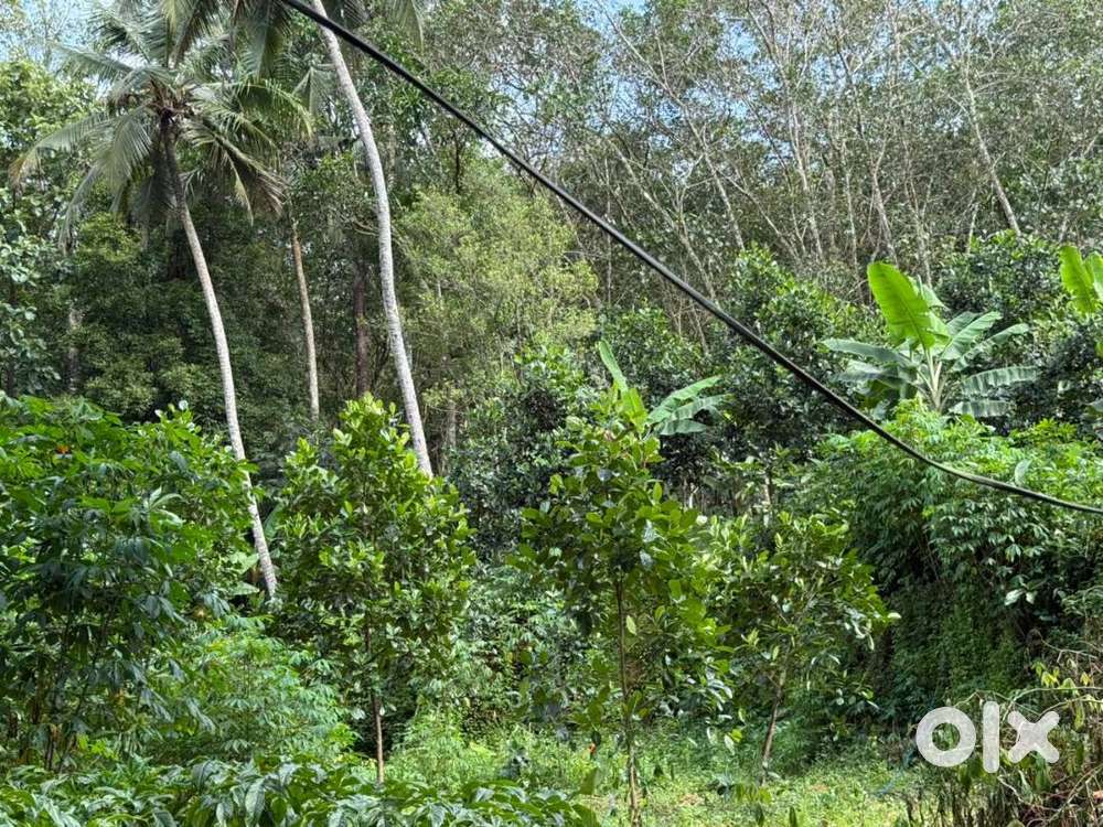 പാലാ - കൊഴുവനാൽ സമീപം  , 10 ഏക്കർ സ്ഥലം വിൽപ്പനയ്ക്ക്