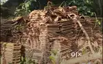 Kerala Roofing odu for sale(used)