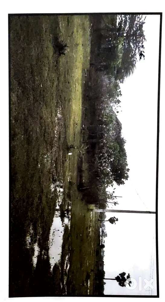 Ramanayyapeta, Near SRMT Shopping mall, Kakinada