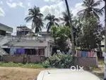 Land of 384 sq.yrds with 2 one BHK houses with coconut and mango trees