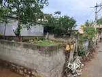 Bapujinagar Main Road 2nd plot Behind Papaiah Kiranam