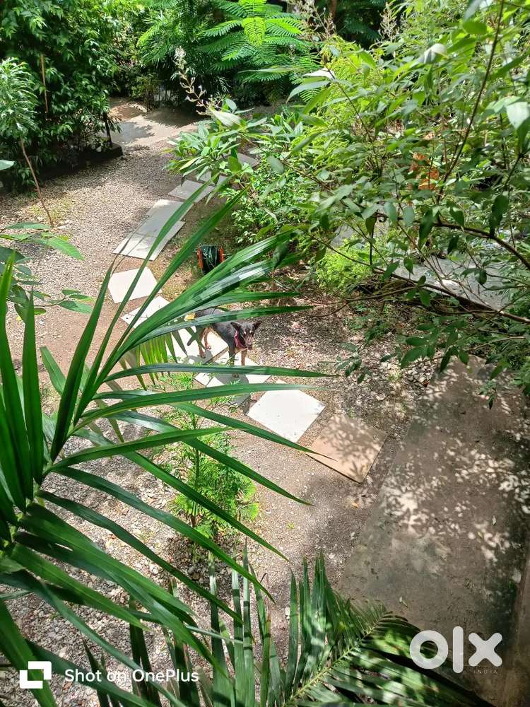 Housekeeping staff needed for night in a hotel