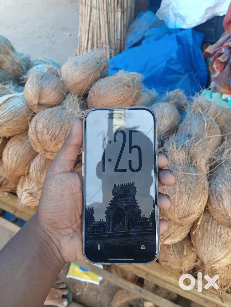 iPhone 16 pro