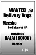 Meesho Delivery job