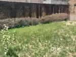 Best Land For Sale