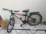 Suncross Toscano bicycle