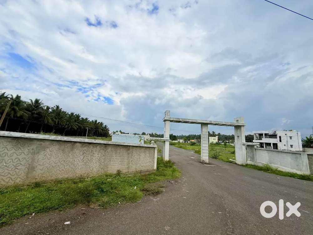 69 Plot south facing