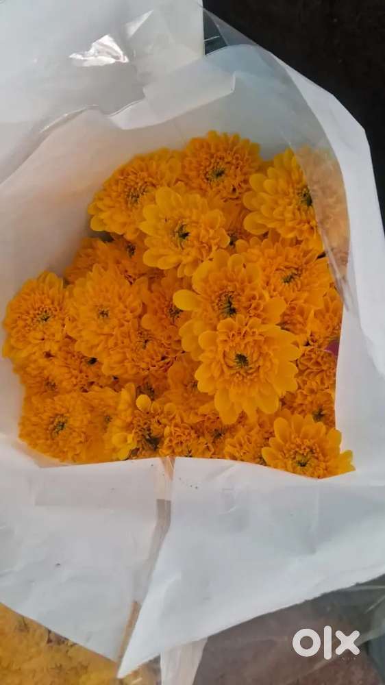 Male staff  +2 above & computer