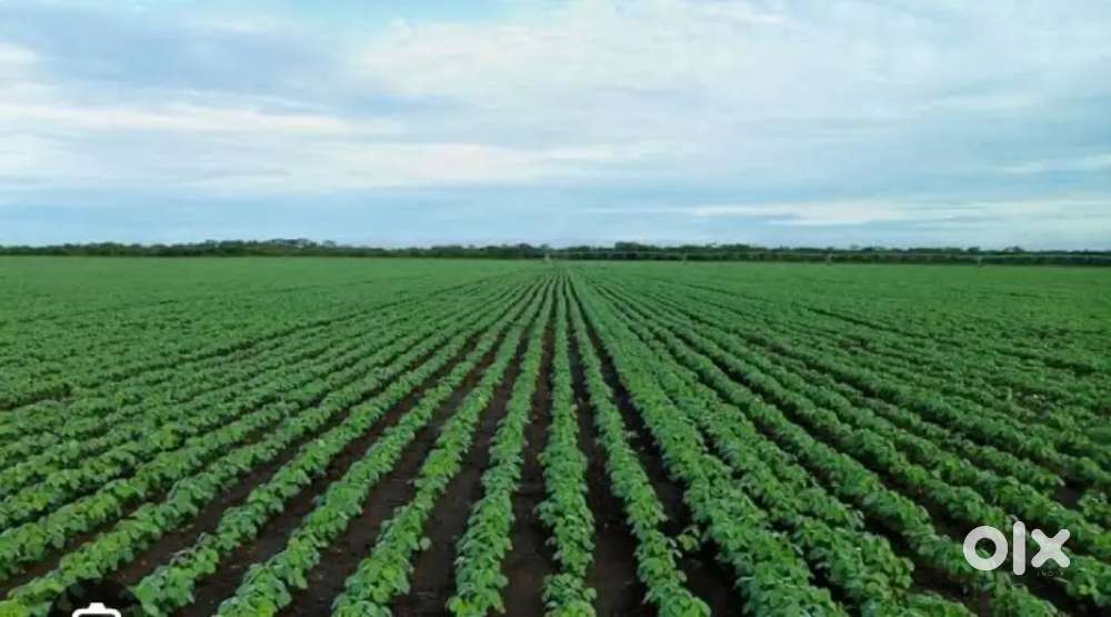 Farm of total 8.50 acre