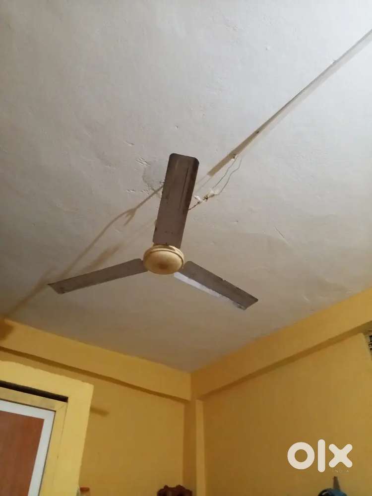Ceiling fan