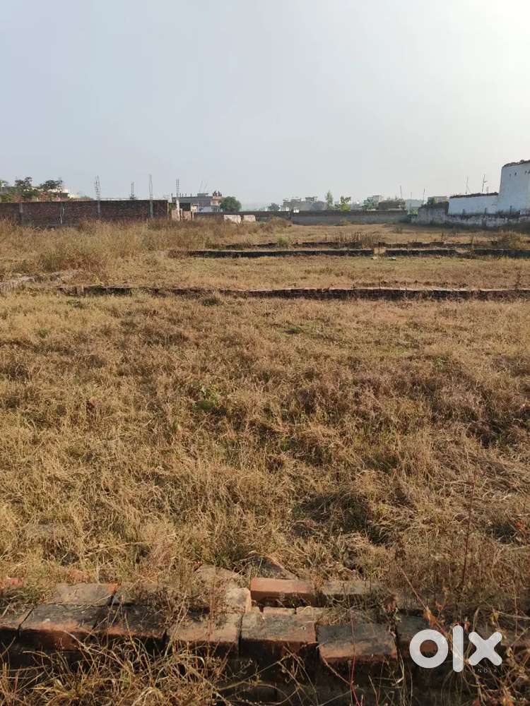 150 Caz plot best location