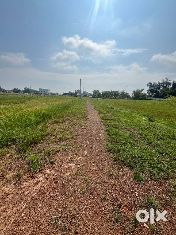 Plot for sale last 10 dismil south facing square plot