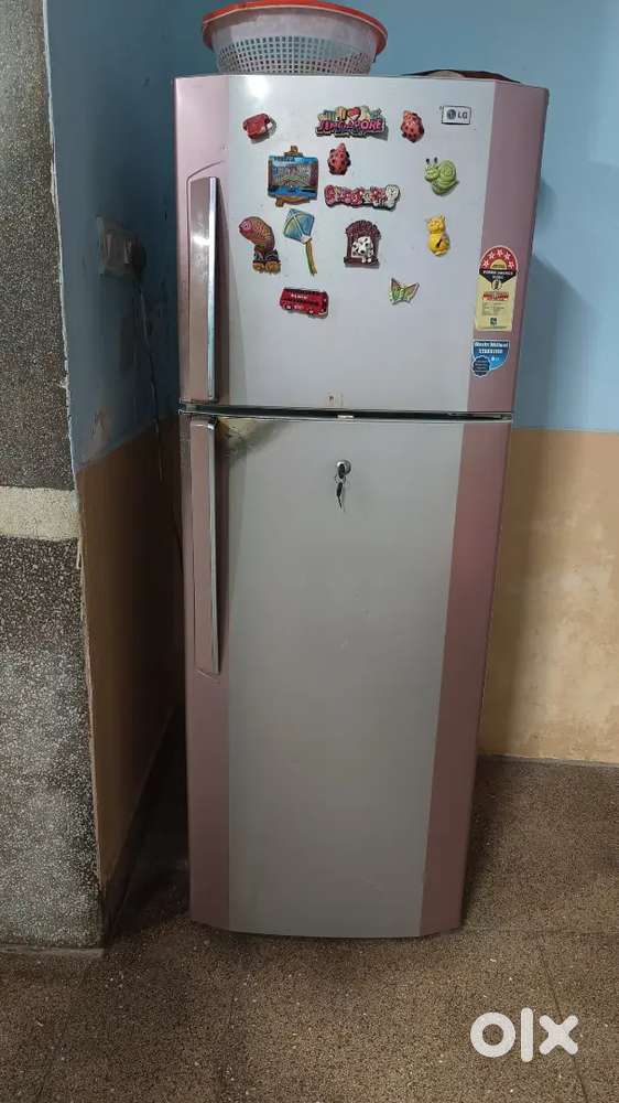 LG Double door fridge