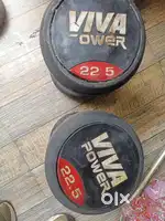 22.5 kg dumbbell pair