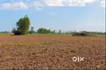 9 acres agricultural land available at Alagiapandipuram