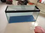 4 feet fish tank  12 mm glass