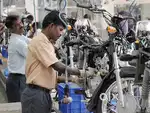 We are hiring for freshers